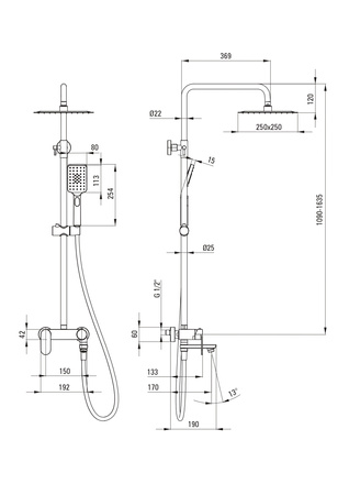 Deante ALPINIA Zestaw wannowo-prysznicowy ścienny złoto szczotkowane z deszczownicą